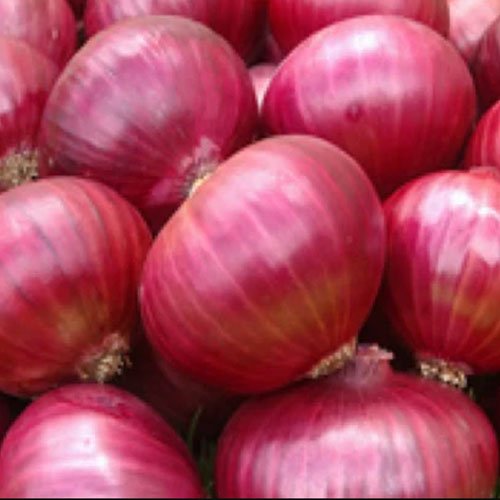 Onion